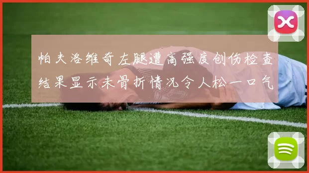 帕夫洛维奇左腿遭高强度创伤检查结果显示未骨折情况令人松一口气